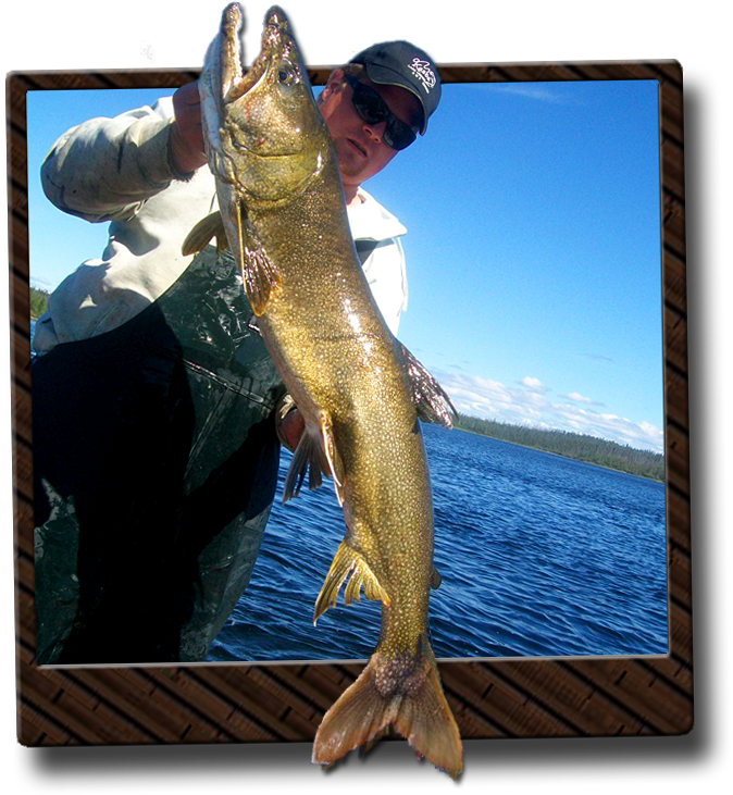 Download Ontario Lake Trout Fishing Ontario Full Size PNG Image