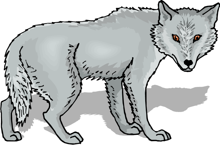 Free Wolf Face Clip Art - Clip Art Of Wolf (750x497), Png Download