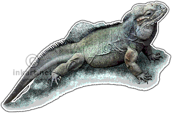 Rhinoceros Iguana - Rhinoceros Iguana Large Mug (590x389), Png Download