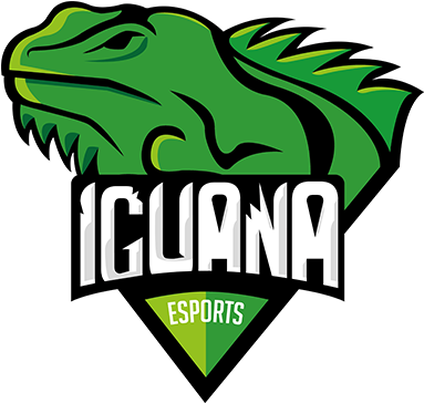 Iguana Esportslogo Square - Iguana Team (500x500), Png Download