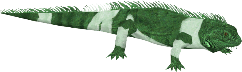 Fiji Crested Iguana 9 - Green Iguana (823x823), Png Download