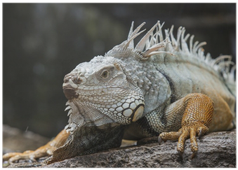 Stock Photography (400x400), Png Download