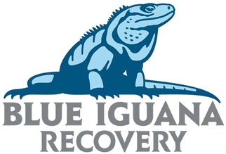 Blue Iguana Nature Reserve (498x280), Png Download