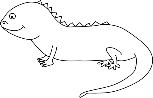 Iguana - Iguana Black And White Clipart Png (500x322), Png Download