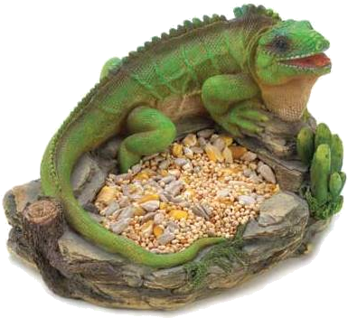 Lucia Man Has Been Charged For Killing And Consuming - Green Iguana (410x410), Png Download