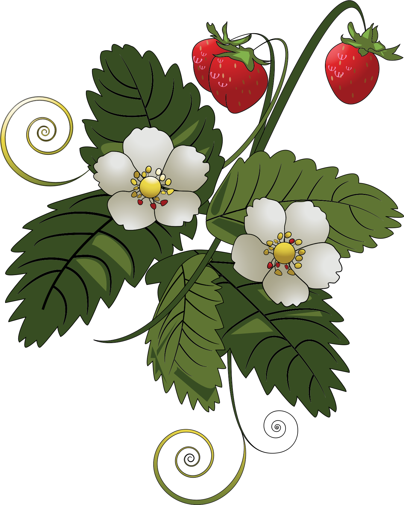 Big Image - Strawberry Tree Clip Art (1350x1687), Png Download