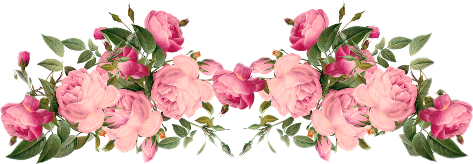 Report Abuse - Flowers Png (966x336), Png Download