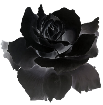 Dark Flower Png - Black Is Red Rose Gif (345x350), Png Download