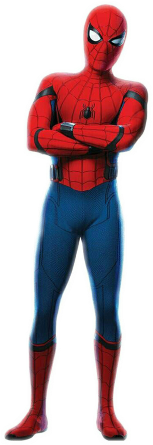 Spider-man Standing Transparent Images - Spiderman Homecoming Spiderman Png (894x894), Png Download