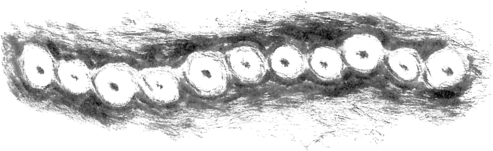 As Bennett Suggested, Teenagers Are Becoming Increasingly - Sketch (1024x316), Png Download