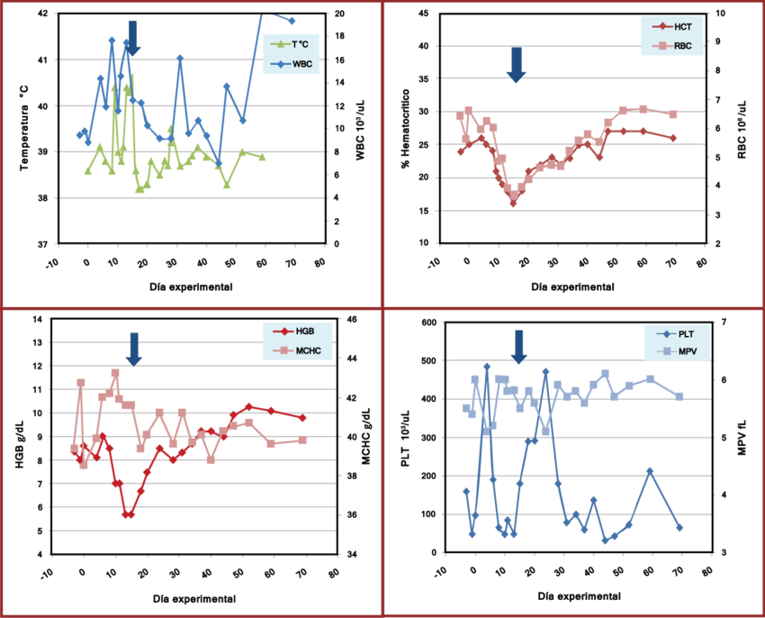 Efectos En La Temperatura Y Parámetros Hematológicos - Diagram (850x686), Png Download