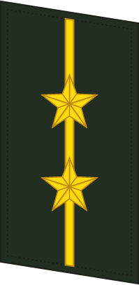 Plagf Collar 0712 1lt - Cross (199x407), Png Download