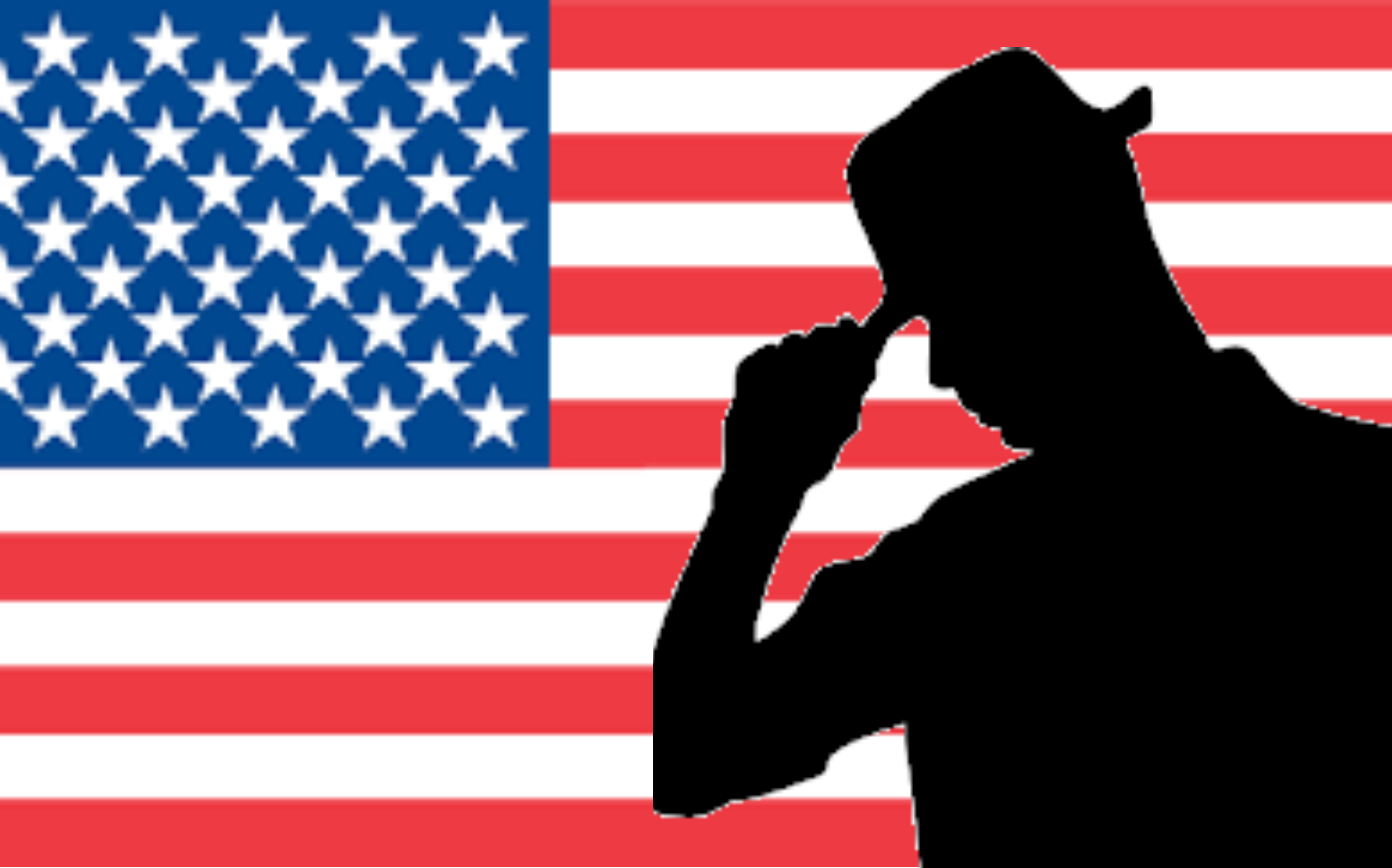 Anna › Respect Usa - Fort Sumter (4192x5000), Png Download
