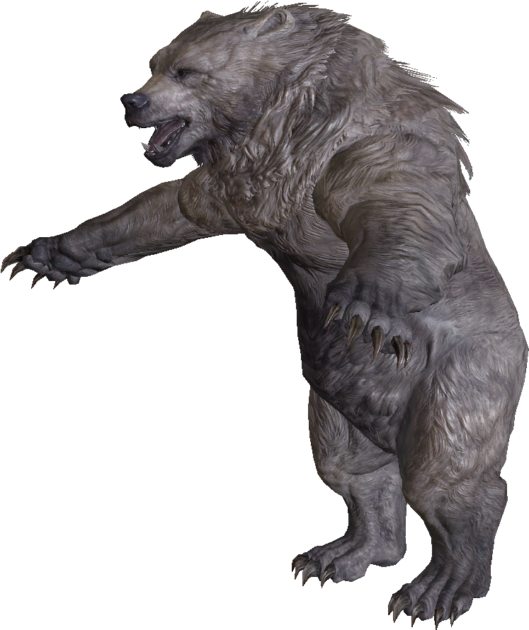Snow Bear - Skyrim Bear Png (904x904), Png Download