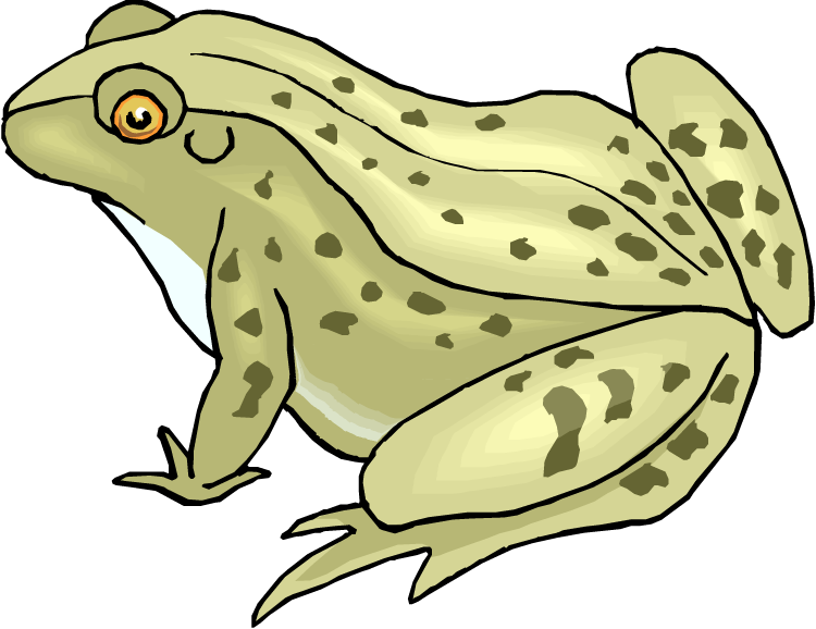 Green Frog Clipart Spotted Frog - Speckled Clip Art (750x578), Png Download
