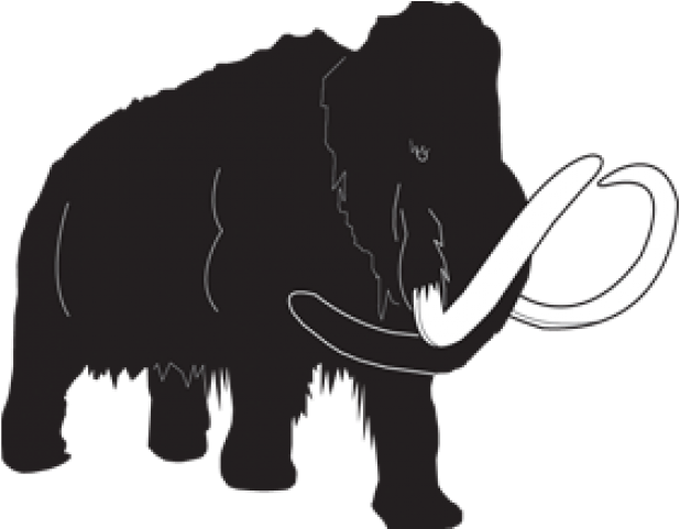 Indian Elephant (640x480), Png Download