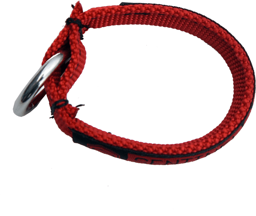 2017 Slingshot Sentinel Css Safety Red Webbing Loop - Circle (918x1000), Png Download