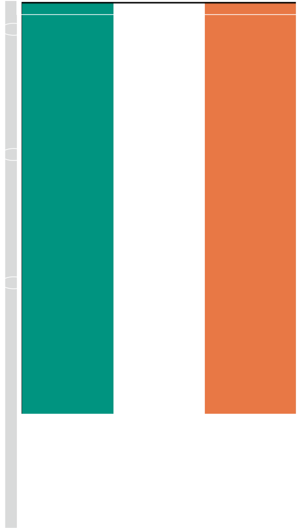Vertical Flag With Tunnel - Irish Flag Vertical (636x1159), Png Download