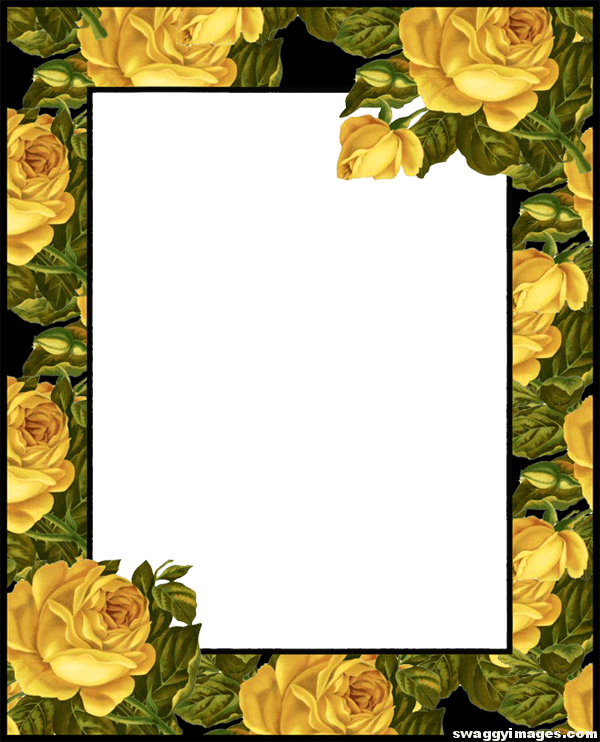 Yellow Rose Photo Frame - Yellow Rose Borders And Frames (600x742), Png Download