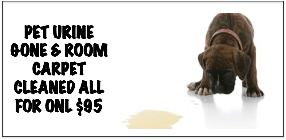 Carpet Cleaning Plus Pet Urine Stain Removed - Brendan O Carroll (931x455), Png Download