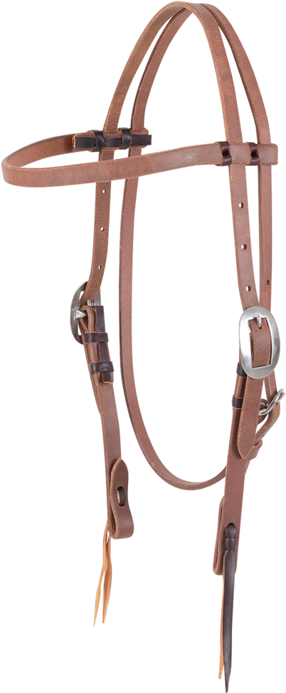 Hb21ant - Halter (1024x1024), Png Download