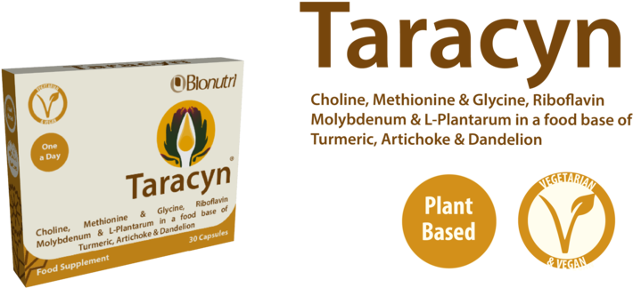 Taracynv2-01 - Box (1000x374), Png Download