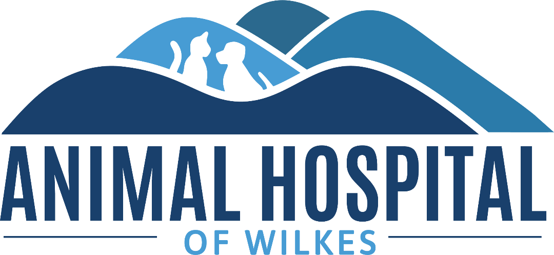 The Animal Hospital Of Wilkes, P (1080x497), Png Download