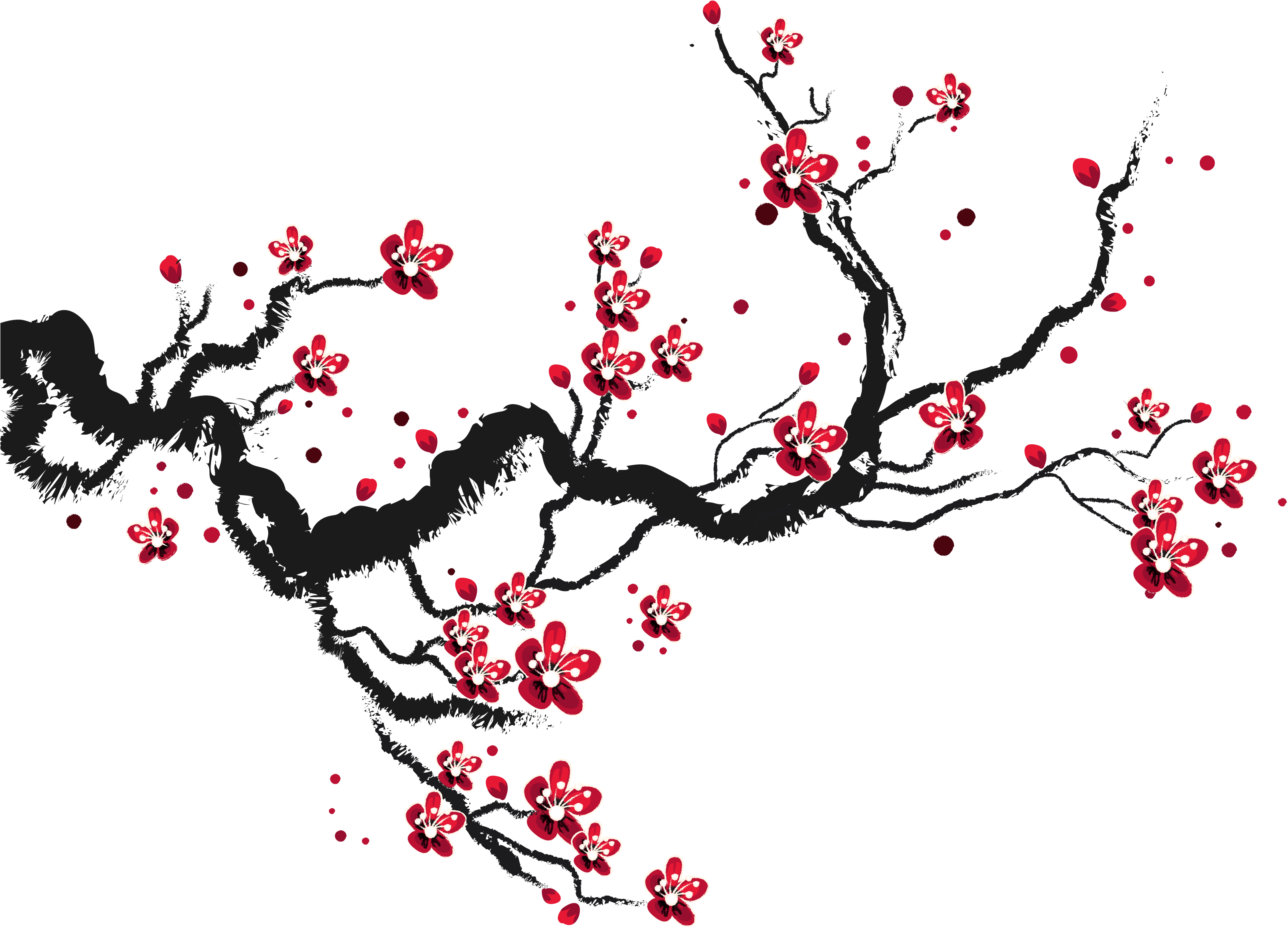 Blossoms Transprent Png Free - Cherry Blossoms Drawing Tree (3333x3333), Png Download