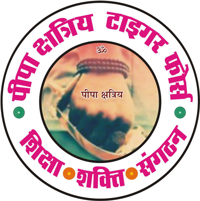 Tiger Force Logo - पीपा क्षत्रिय (576x576), Png Download