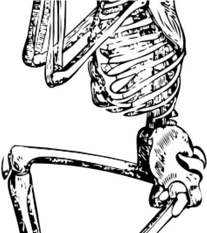 Sleleton Clipart Small Skeleton - Skeleton Drawing Png (640x480), Png Download