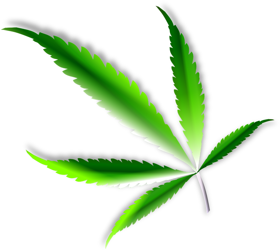 Marijuana Leaf Png - Cannabis Leaf High Resolution (1280x1274), Png Download
