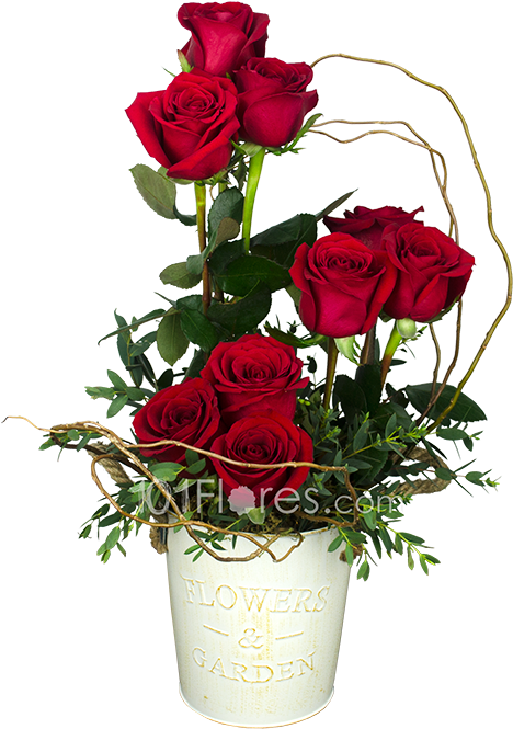 Garden Roses (900x900), Png Download