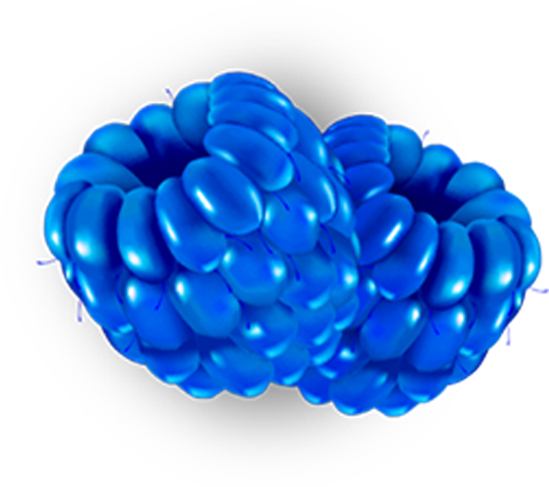 Ca $29 - Seedless Fruit (802x489), Png Download