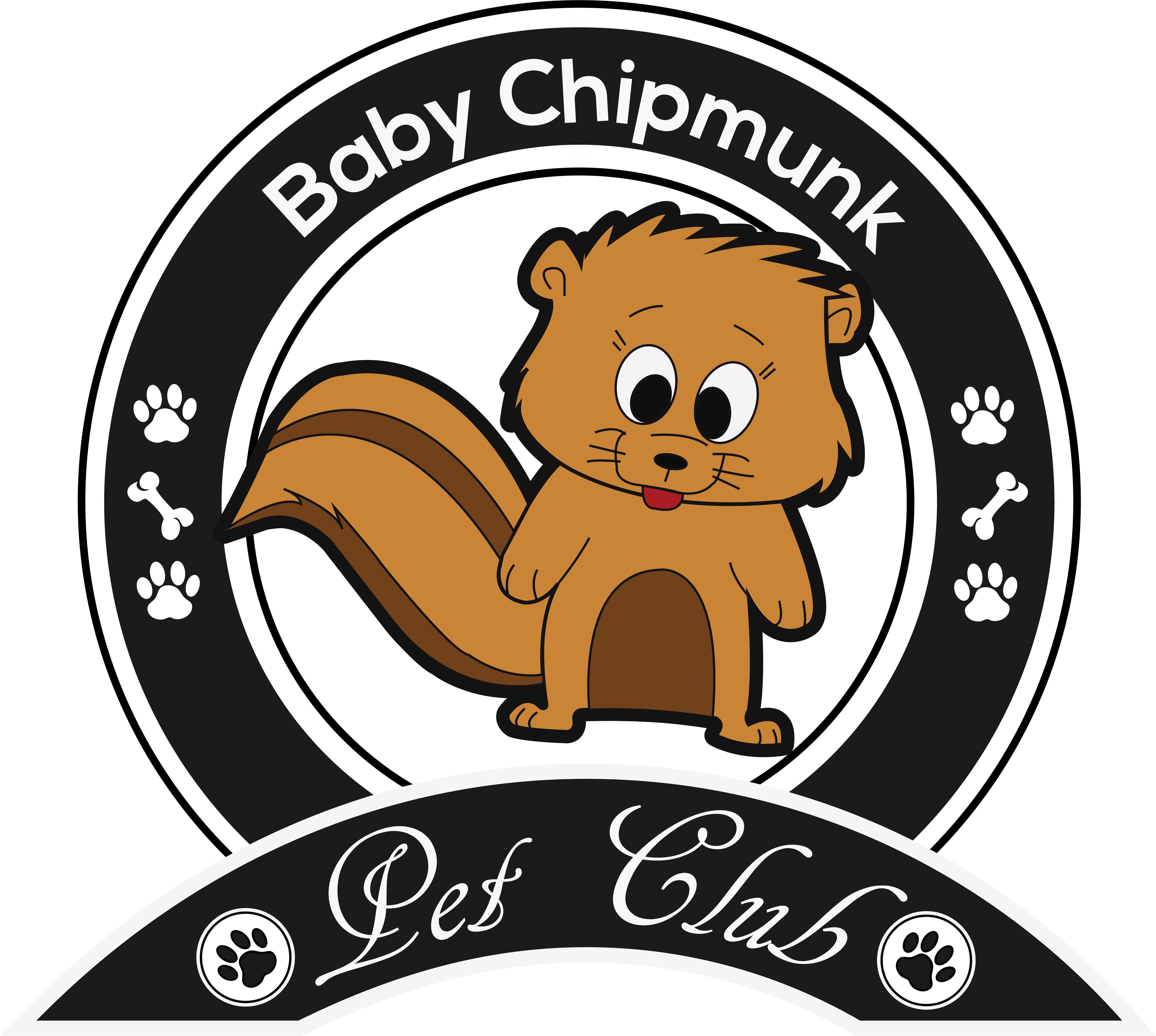 Chipmunk - Pig (6341x5704), Png Download