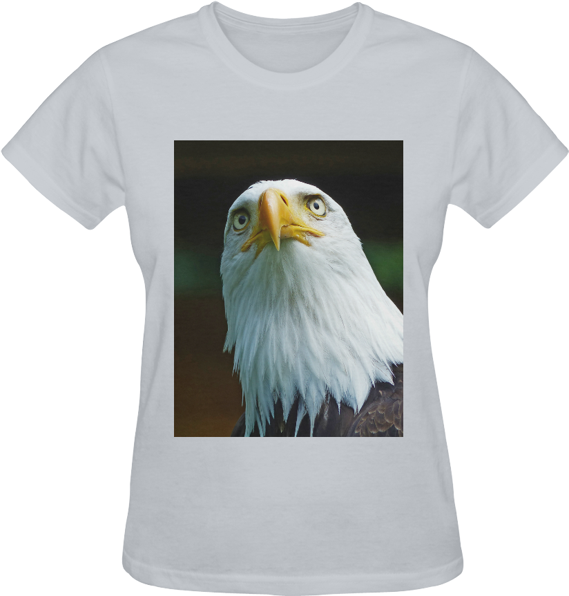 American Bald Eagle Head 001 14 Sunny Women's T-shirt - Bald Eagle (1000x1000), Png Download