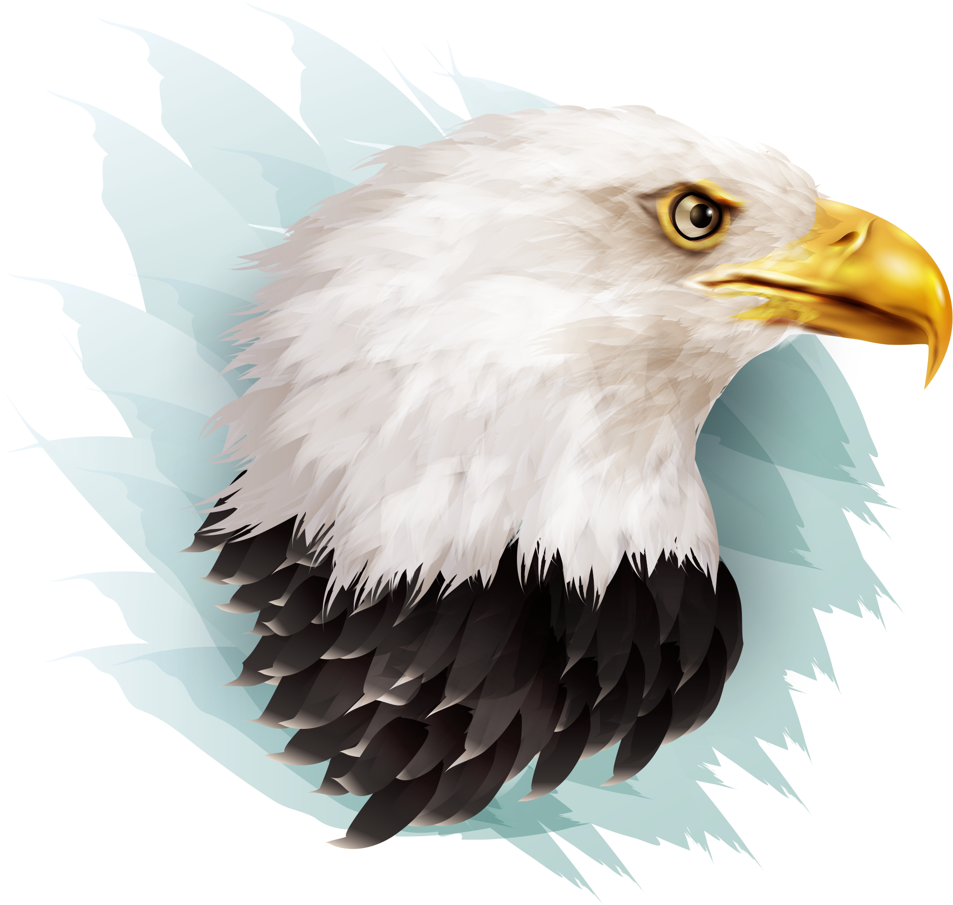 Eagle Illustration (1910x1814), Png Download