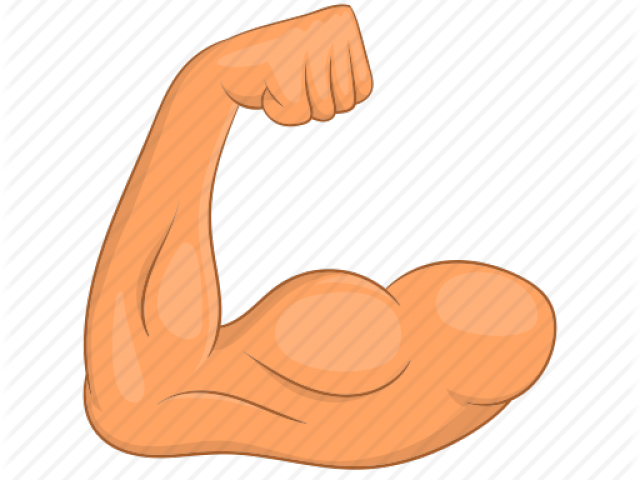 Cartoon Bicep Muscle (640x480), Png Download