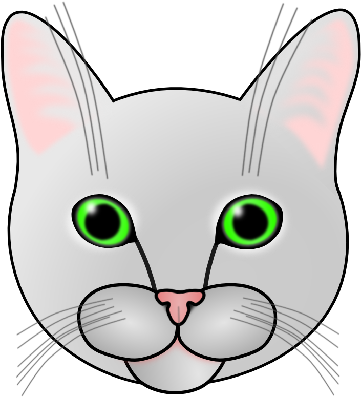 Cat A - Domestic Short-haired Cat (800x800), Png Download