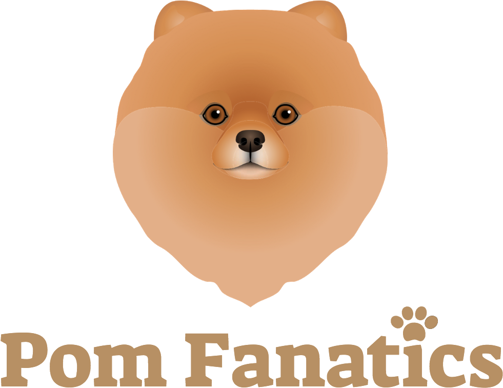 Dogs, Pomeranians, Dog Breeds, Doggies, Species Of - Pomeranian (1024x772), Png Download