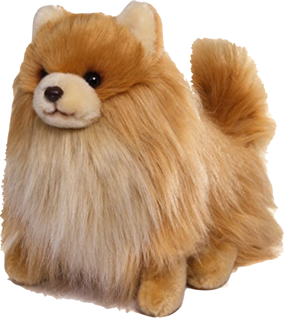 Cute Pomeranian Puppies - Buddy And Boo Stuffed Animals (946x1058), Png Download