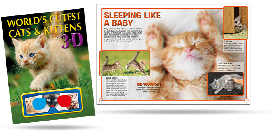 World's Cutest Cats & Kittens In 3d (989x458), Png Download