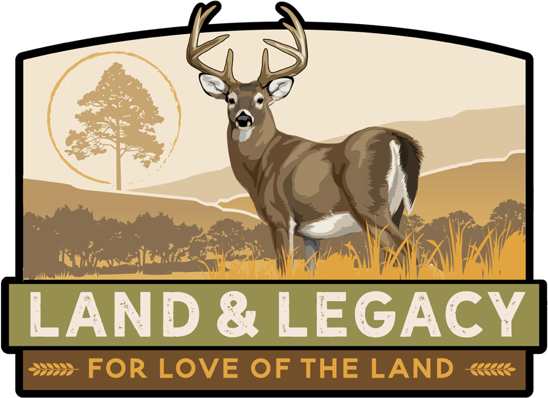 Load Image Into Gallery Viewer, Whitetail Deer Conservation - Reindeer (1280x865), Png Download