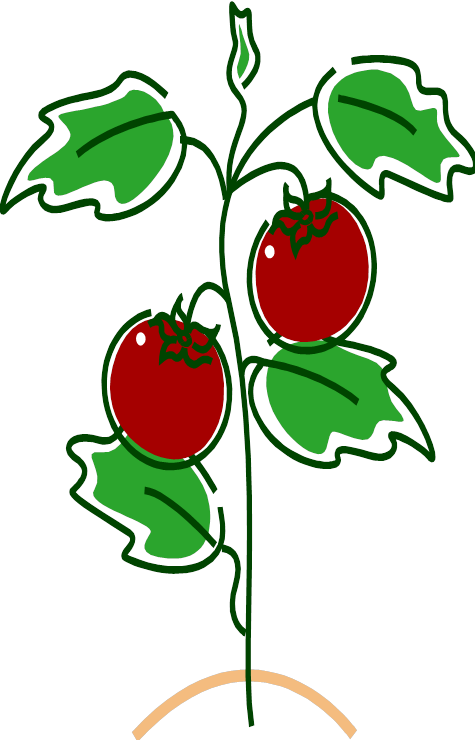 And By The Time The Tomato Was In The House It Was - Tomato Diseases Gif (475x740), Png Download