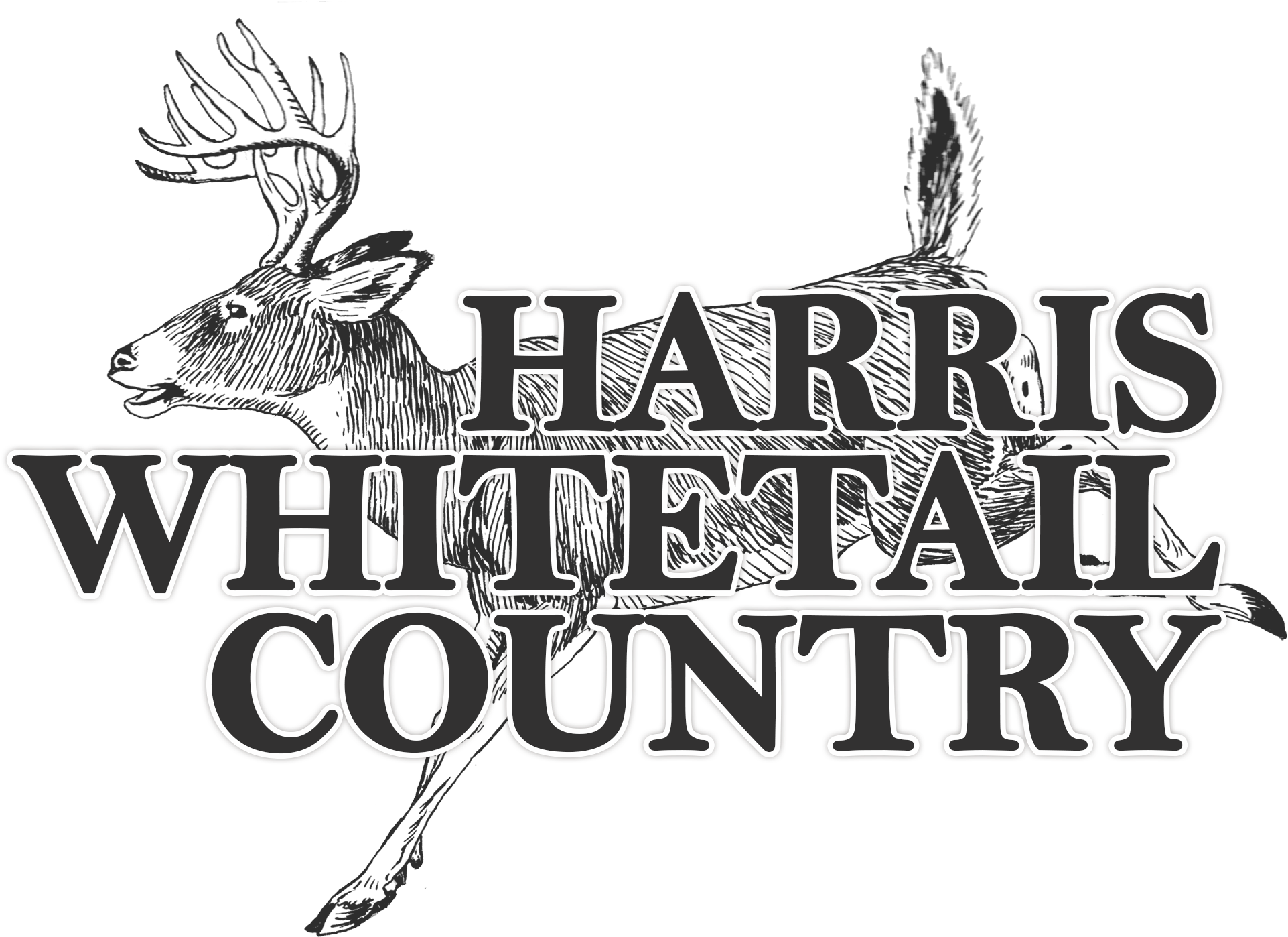 Trophy Texas Whitetail Hunts - Deer Clip Art (2056x1503), Png Download