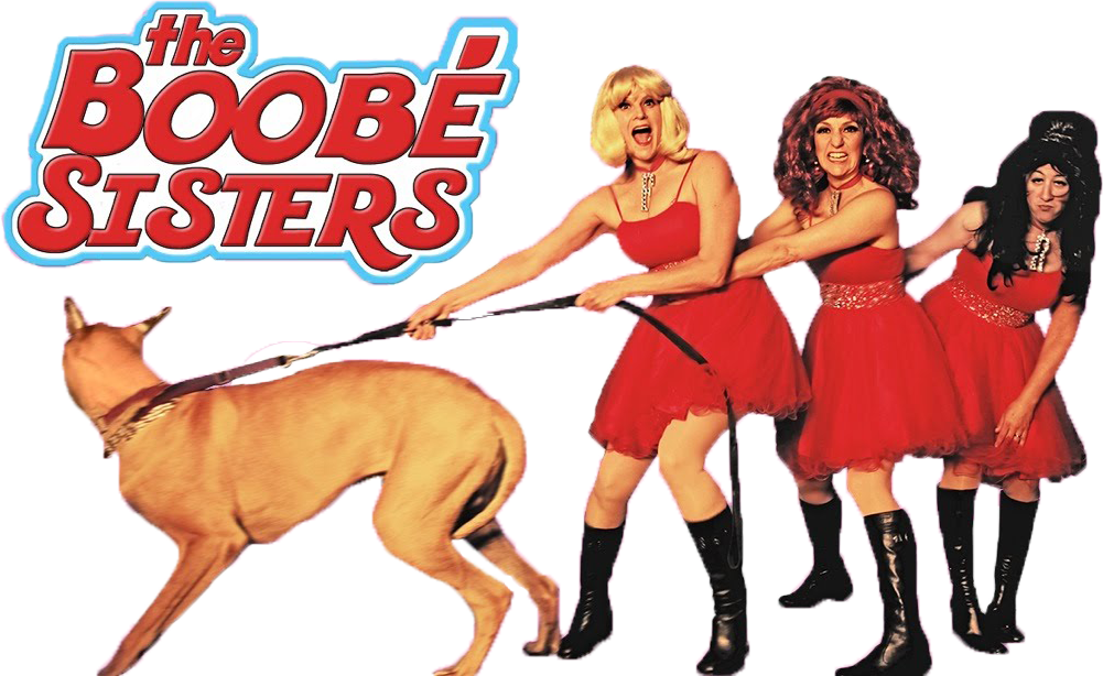 13-og W=1001&h=614 - Dog (1001x614), Png Download