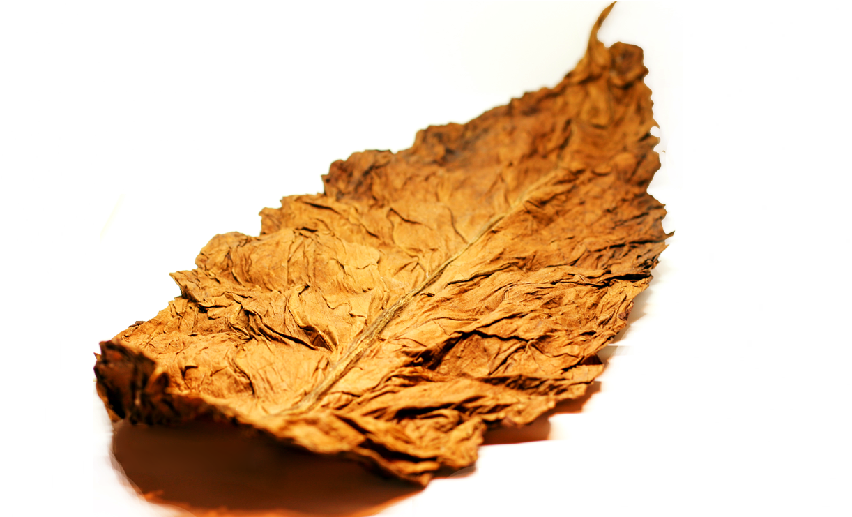 Download 100 All Natural Whole Leaf Tobacco Autumn Full Size PNG