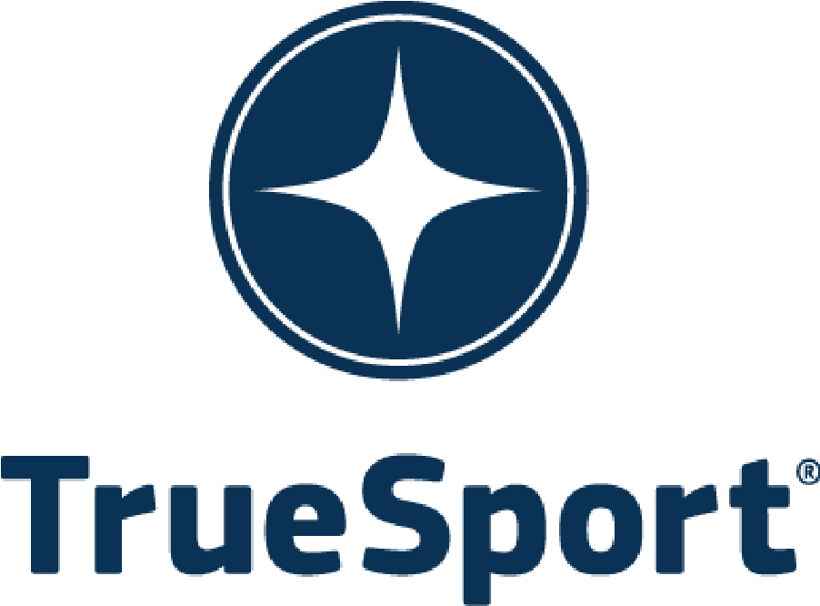 Champions The Positive Values And Life Lessons Learned - Truesport (1250x1126), Png Download