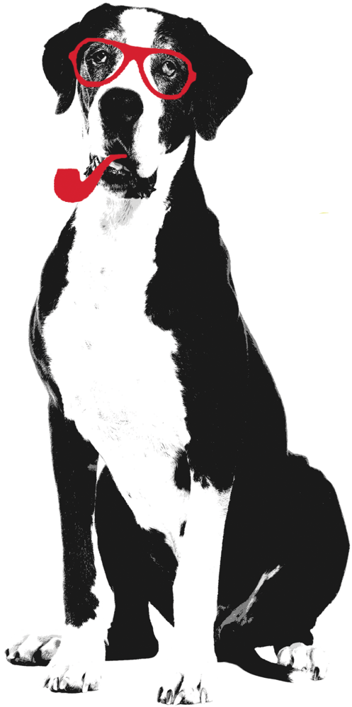 Charlienobackground 1 - Dalmatian (1024x1024), Png Download