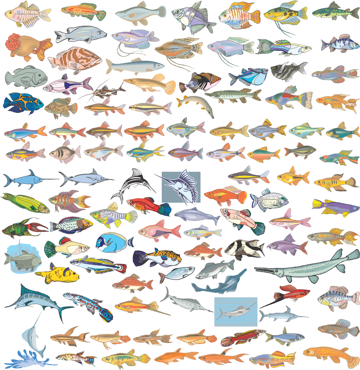 Various Species Of Fish In Vector Format - 卡通 鱼 (1182x1300), Png Download