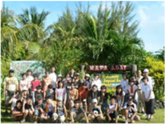 Hamamoto Tropical Fruit World Image - Attalea Speciosa (785x520), Png Download